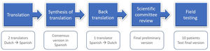 General mSQUASH translation and cross-cultural adaptation workflow and procedure.