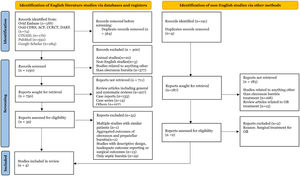 PRISMA flow diagram.