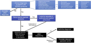 Diagnostic algorithm in VEXAS syndrome.