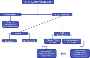 Proposed classification of pneumomediastinum. * Precipitating factors can act upon predisposing factors.