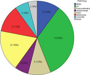 Pathological types of glomerulopathies among studied cases. MPGN: membranoproliferative glomerulonephritis, LN: lupus nephritis, FSGS: focal segmental glomerulosclerosis, others include 1 case with diabetic nephropathy and a case with renal amyloidosis.