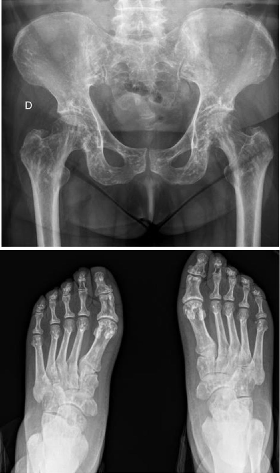 fig0010