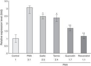 Effect of polyphenols on PMA-induced COX-2 mRNA levels in PC-3 cells treated with or without PMA (50μg/ml) and 10μM of gallic and tannic acid, quercetin, resveratrol or vehicle (0.01% ethanol) for 24h. Total cellular RNA was isolated and analyzed by real-time RT-PCR for COX-2 expression. The 18S rRNA gene was amplified as an internal control. A significant decrease in COX-2 mRNA expression was observed for all polyphenols. Resveratrol was the most potent. *p<0.05; **p<0.01 vs. PMA treatment.