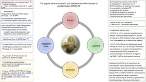 Overview of the pathway for donation and kidney transplantation at Careggi University Hospital in Florence, Italy, during the COVID-19 pandemic. The first priority of such dedicated pathways was to ensure the safety of kidney transplantation recipients, reducing the risk of donor-derived COVID-19. A&E=Accident & Emergency; CNT=Centro Nazionale Trapianti (Italian Transplant Authority); DBD=donors after brain death; DCD=donors after circulatory death; LTDC=local transplant and donation coordinator; KT=kidney transplantation; ICU=intensive care unit; O.R.=operating room; PPE=personal protection equipment; RTC=Regional Transplant Center.