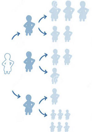 Exponential discriminative snowball sampling method.