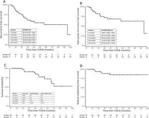 Kaplan-Meier survival curves for recurrence-free survival, high-grade recurrence-free survival, overall survival and radical cystectomy free survival for 59 patients treated with radiofrequency induced chemohyperthermia for non-muscle invasive bladder cancer.