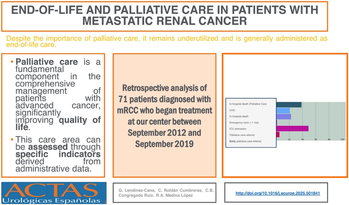 End-of-life and palliative care in patients with metastatic renal ...