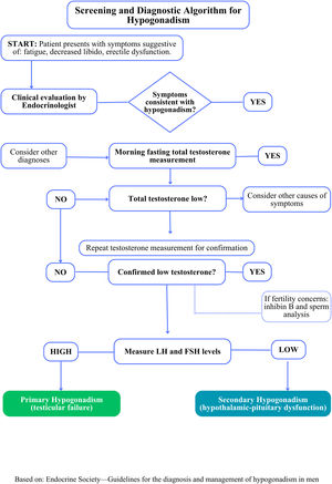 Diagnostic algorithm for endocrine sequelae after testicular cancer.