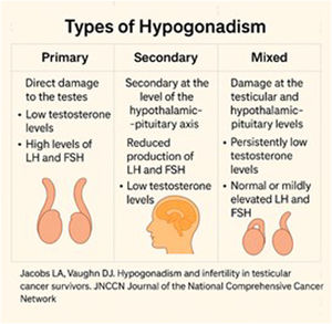 Types of hypogonadism. Source: Jacobs LA, Vaughn DJ.