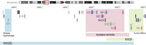 Schematic representation of the chromosomal regions involved in aniridia and WAGR/WAGRO syndrome at the 11p15.1-13 locus. The location of the 3 main genes involved, WT1, PAX6 and BDNF and the critical regions of the 11p deletions associated with WAGR syndrome, isolated aniridia and WAGRO syndrome are shown.