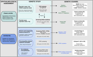 Flowchart of the genetic diagnosis of aniridia proposed for genetic diagnosis in aniridia. A diagnostic algorithm is proposed based on clinical suspicion and patient characteristics (age and family history). The main objective is to rule out mutations and/or deletions that cause PAX6 haploinsufficiency in cases with suspected aniridia and with classic phenotype, in addition to a differential diagnosis with other genes, mainly anterior segment dysgenesis, in cases of aniridia with atypical presentations. Priority is given to the study of copy number variations in chromosome 11p in sporadic cases younger than 10 years and/or with presentation of extraocular symptoms, characteristic of WAGR syndrome (Wilms tumor, neurodevelopmental delay, genitourinary anomalies), by means of different molecular techniques, or cytogenetic techniques. Screening for PAX6 mutations will be prioritized in familial or sporadic cases older than 10 years due to its higher yield. In this algorithm we incorporate the use of NGS techniques (panels directed to PAX6 and other genes associated to ocular malformations, clinical exomes, whole exomes or genomes) to perform both analyses, always taking into account the sensitivity limitations of each technique in the evaluation of the genetic test.