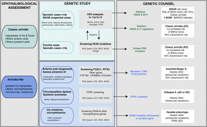 Flowchart of the genetic diagnosis of aniridia proposed for genetic diagnosis in aniridia. A diagnostic algorithm is proposed based on clinical suspicion and patient characteristics (age and family history). The main objective is to rule out mutations and/or deletions that cause PAX6 haploinsufficiency in cases with suspected aniridia and with classic phenotype, in addition to a differential diagnosis with other genes, mainly anterior segment dysgenesis, in cases of aniridia with atypical presentations. Priority is given to the study of copy number variations in chromosome 11p in sporadic cases younger than 10 years and/or with presentation of extraocular symptoms, characteristic of WAGR syndrome (Wilms tumor, neurodevelopmental delay, genitourinary anomalies), by means of different molecular techniques, or cytogenetic techniques. Screening for PAX6 mutations will be prioritized in familial or sporadic cases older than 10 years due to its higher yield. In this algorithm we incorporate the use of NGS techniques (panels directed to PAX6 and other genes associated to ocular malformations, clinical exomes, whole exomes or genomes) to perform both analyses, always taking into account the sensitivity limitations of each technique in the evaluation of the genetic test.