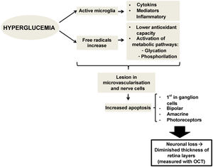 Schematic overview of the pathophysiology of neurodegenerative retinal damage in patients with type 2 diabetes mellitus.