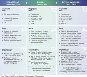 Summary table of signs and treatments of adverse events associated with IIO (EAOI). Corticosteroids are the first-line therapeutic option for the treatment of OII. Depending on the severity of the inflammation, its course and location, clinicians should establish the route of administration, dose and dosage of treatment. FA: fluorescein angiography; FAG: angiography with indocyanine green; PRP: panretinal photocoagulation; DXM: dexamethasone; IOI: intraocular inflammation; IV: intravenous; IVP: intravenous; mPRDL: methylprednisolone; OCT: optical coherence tomography; OCT-A: angio-OCT; RVO: retinal vascular occlusion; PRD: prednisone; PRDL: prednisolone; TACA: triamcinolone acetonide; RV: retinal vasculitis.