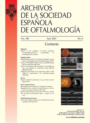 portada-S2173579425X00074