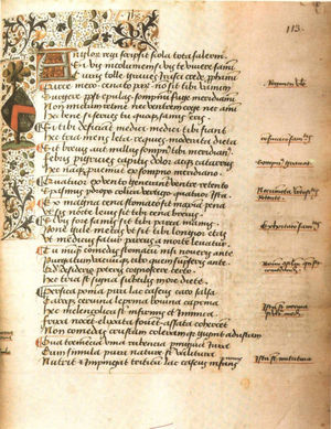 Regimen Sanitatis Salernitanum. Manuscript PARIS, BNF COD. LAT. 6931.