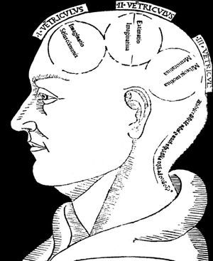 Diagram showing the three ventricular cells and the location of brain functions, taken from a 1490 edition of Philosophia naturalis by Saint Albertus Magnus.