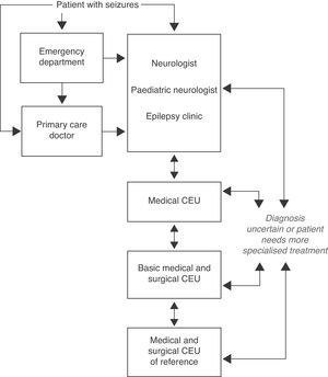 Algorithm for levels of care in epilepsy (extract from Ref. 7).