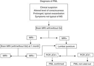 Diagnostic algorithm used in cases of suspected PML.