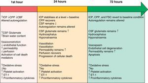 Timeline showing the different pathophysiological mechanisms intervening during the EBI phase after SAH. Modified from Sehba et al.26 ET-1: endothelin-1; CBF: cerebral blood flow; CSF: cerebrospinal fluid; NO: nitric oxide; ICP: intracranial pressure; CPP: cerebral perfusion pressure.