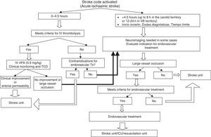 Decision-making algorithm for applying reperfusion treatment (intravenous thrombolysis or endovascular treatment) in patients with acute ischaemic stroke.