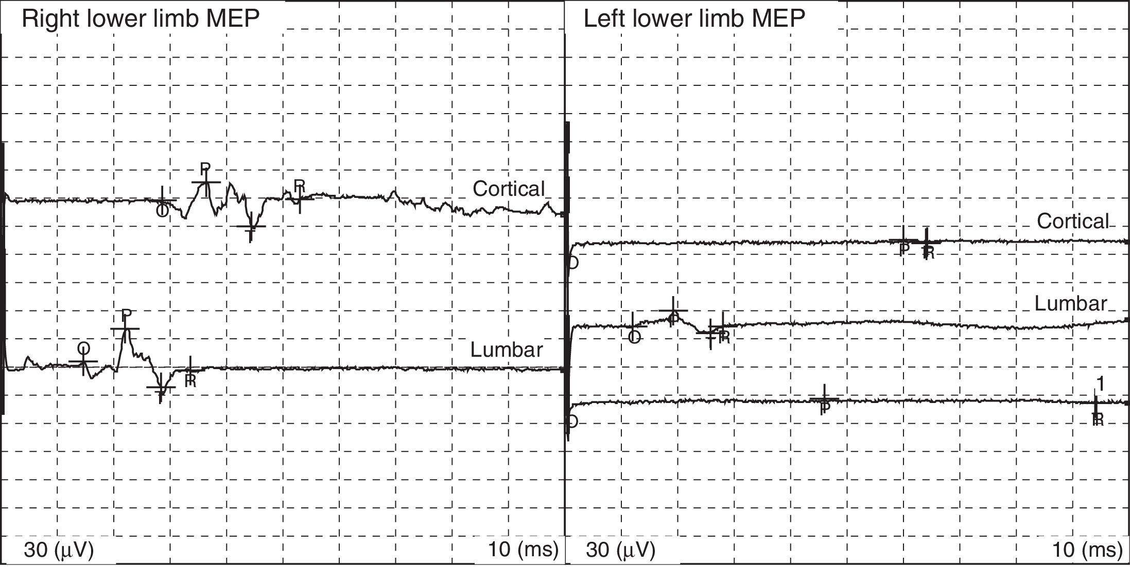 fig0015