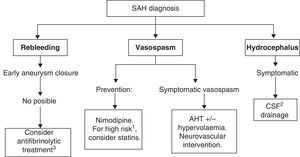 Treatment algorithm for aneurysmal SAH. (1) Large initial volume of blood, clinically severe; (2) CSF: cerebrospinal fluid; (3) administer briefly (3 days) only if vasospasm is absent.