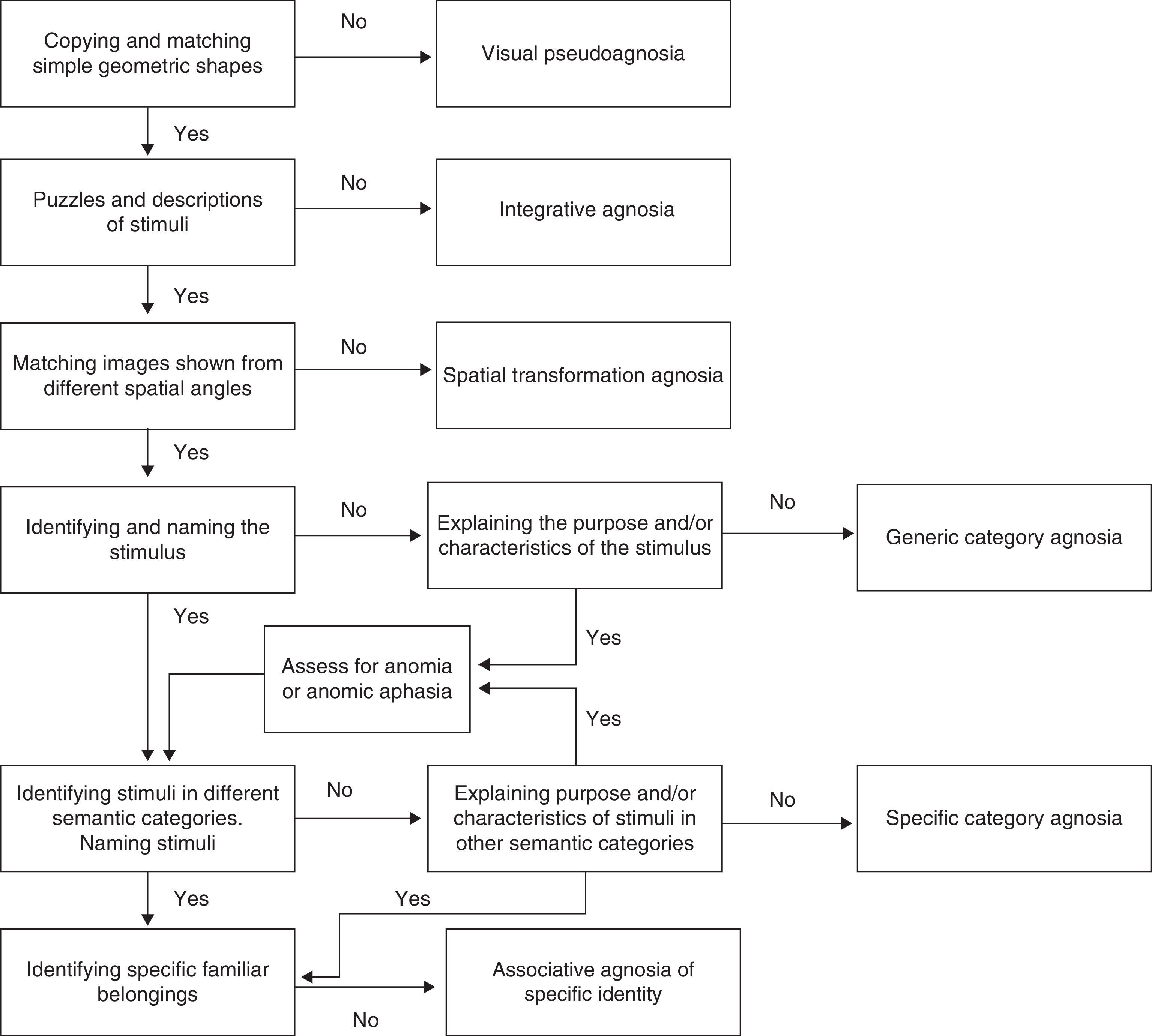 Visual form-processing deficits: A global clinical classification ...