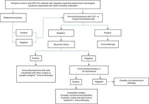 Diagnostic algorithm for patients with antibodies against VGKC-related proteins. *Clinical syndromes listed in Table 1. **NMDA receptor, AMPA receptor, GABAb receptor, DPPX, Gly receptor, others.