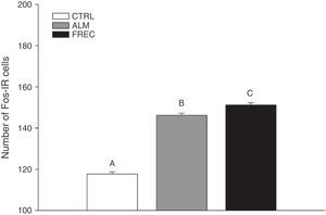 Total number (mean±SE) of Fos-IR neurons in the control (CTRL), almond (ALM), and receptive female (FREC) groups, after olfactory stimulation. Bars marked with letters show statistically significant differences (P<.0001).