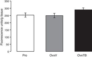 Graph representing mean values±standard value for each group (n=10 rats per group). Results are expressed in fluorescence units/g of fresh tissue. OvxV: ovariectomised rats treated with vehicle; OvxTB, ovariectomised rats treated with tibolone (1mg/kg); Pro: rats in the proestrus phase.
