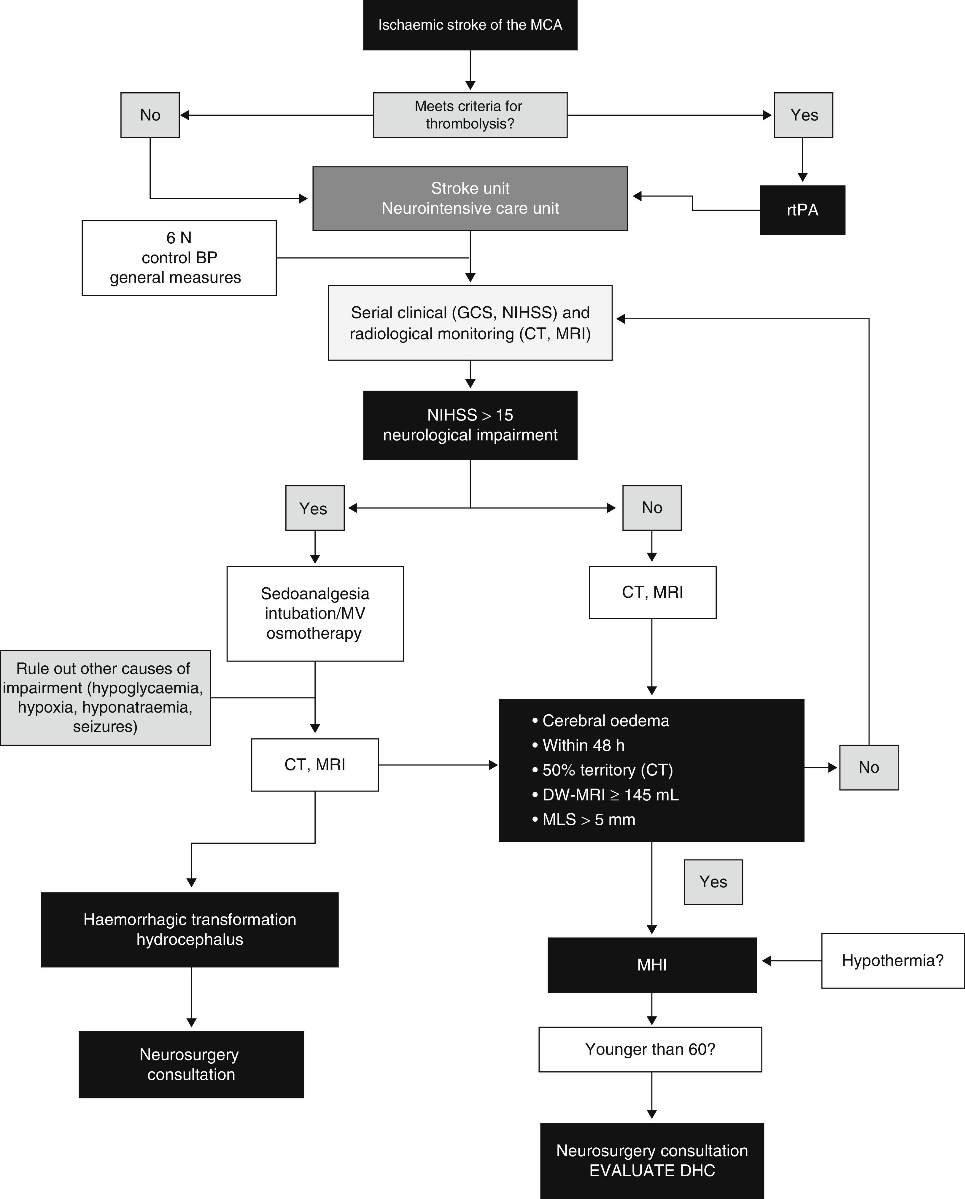 Malignant hemispheric infarction of the middle cerebral artery ...
