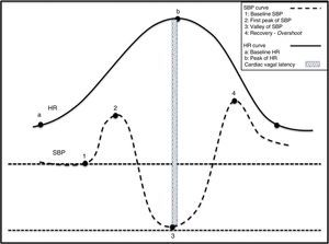 Physiological changes in the haemodynamic variables during active standing. (1) Act of sitting generating simultaneous increases in SBP and HR. (2) Abrupt drop in SBP and rise in HR. Tachycardia is a reflex resulting from the drop in SBP. (3) Gradual increase in SBP and normalisation of HR. (4) Overshoot of SBP.