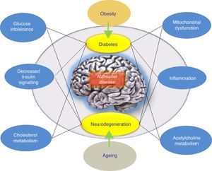 Model offering a potential explanation for late-onset Alzheimer disease. The adaptive response hypothesis proposes that Aβ can accumulate as an adaptive response to chronic stress stimuli such as metabolic dysregulation (altered cholesterol homeostasis or insulin resistance). According to this hypothesis, treatment would consist of drugs that restore insulin tolerance. The right drug treatment for slowing AD would act on these stress stimuli (the inflammatory response, mitochondrial changes, etc.).