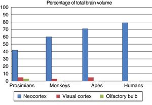 The olfactory bulb, visual cortex, and neocortex as a percentage of total brain volume in prosimians, monkeys, apes, and modern humans. Adapted from Stephan et al.7