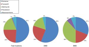 Distribution of point mutations associated with DMD and BMD in the Spanish population. Adapted from Juan-Mateu et al.25