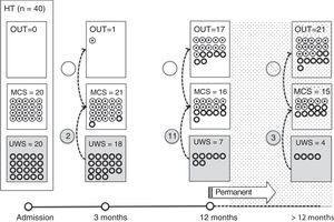 Longitudinal study. Patients with head trauma (HT). Cut-off point for “irreversibility”: 12 months. HT: head trauma; MCS: minimally conscious states; OUT: emergence from MCS/UWS; UWS: unresponsive wakefulness syndrome.