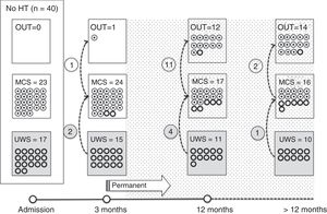 Longitudinal study. Patients with non-traumatic aetiology (no HT). Cut-off point for “irreversibility”: 3 months. HT: head trauma; MCS: minimally conscious states; OUT: emergence from MCS/UWS; UWS: unresponsive wakefulness syndrome.