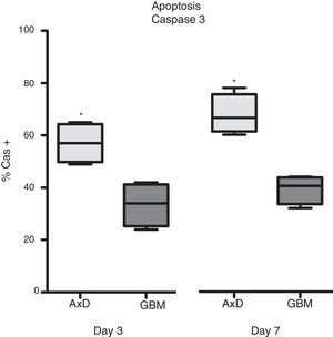 Caspase 3 expression. Cas3 expression was considerably higher in transfected cells than in GBM cells at day 3 of differentiation. This effect was more marked at day 7, with nearly twice as many Cas3+ transfected cells than Cas3+ GBM cells. Graphs show means and standard error. *P<.05. GBM: glioblastoma multiforme.
