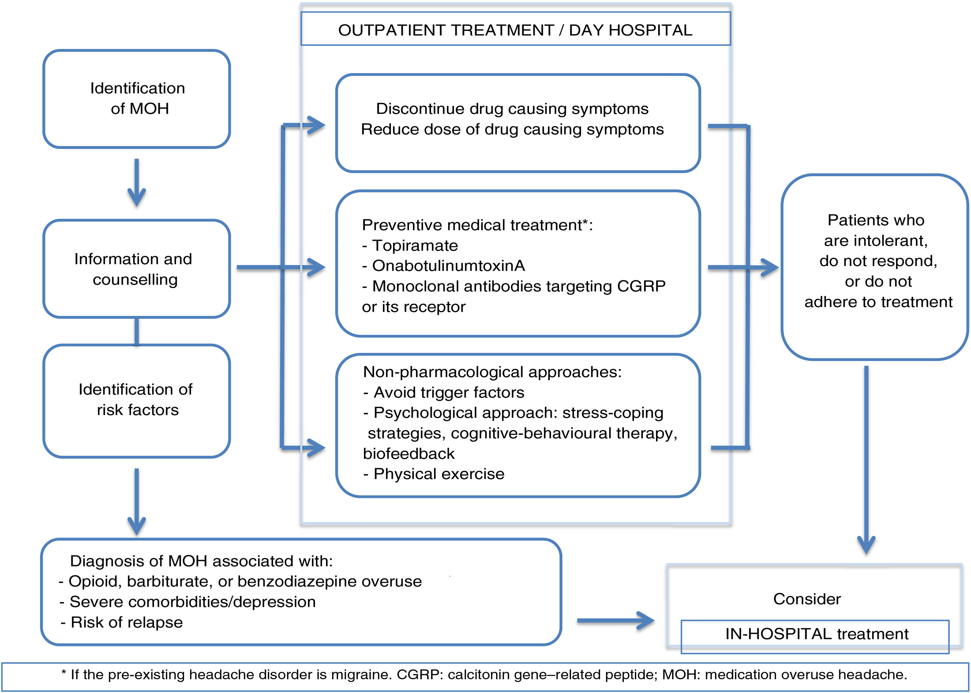 Document of revision and updating of medication overuse headache (MOH ...