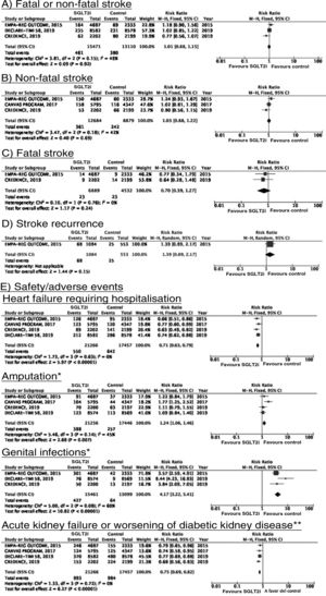 SGLT2 inhibitors for stroke prevention in patients with type 2 diabetes mellitus. *Data on the number of amputations in the CANVAS programme and the EMPA-REG OUTCOME trial were gathered from the meta-analysis conducted by Dicembrini et al.73 The analysis of genital infections does not include data from the CANVAS programme since that study expressed data as number of cases per 1000 patient-years; however, this study also reported a significant increase in the incidence of genital infections. **Diagnostic criteria varied between trials.