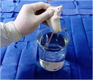 The tail is immersed into the water.