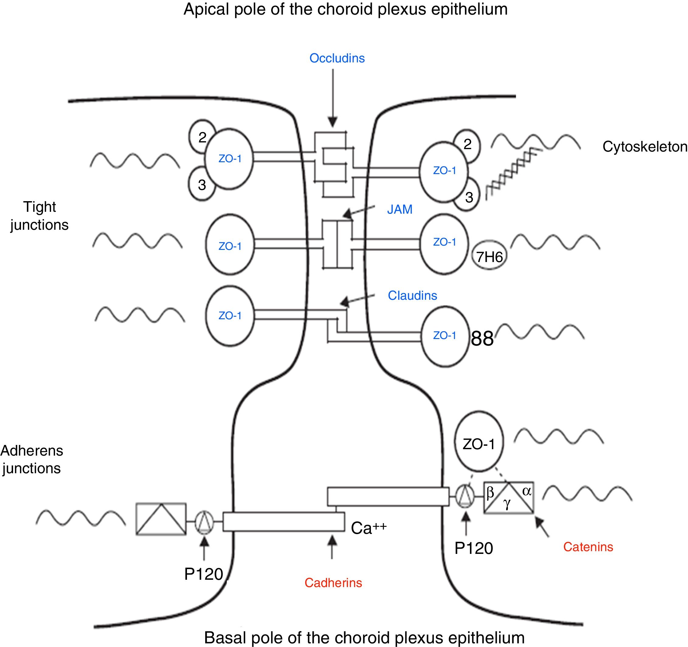fig0010