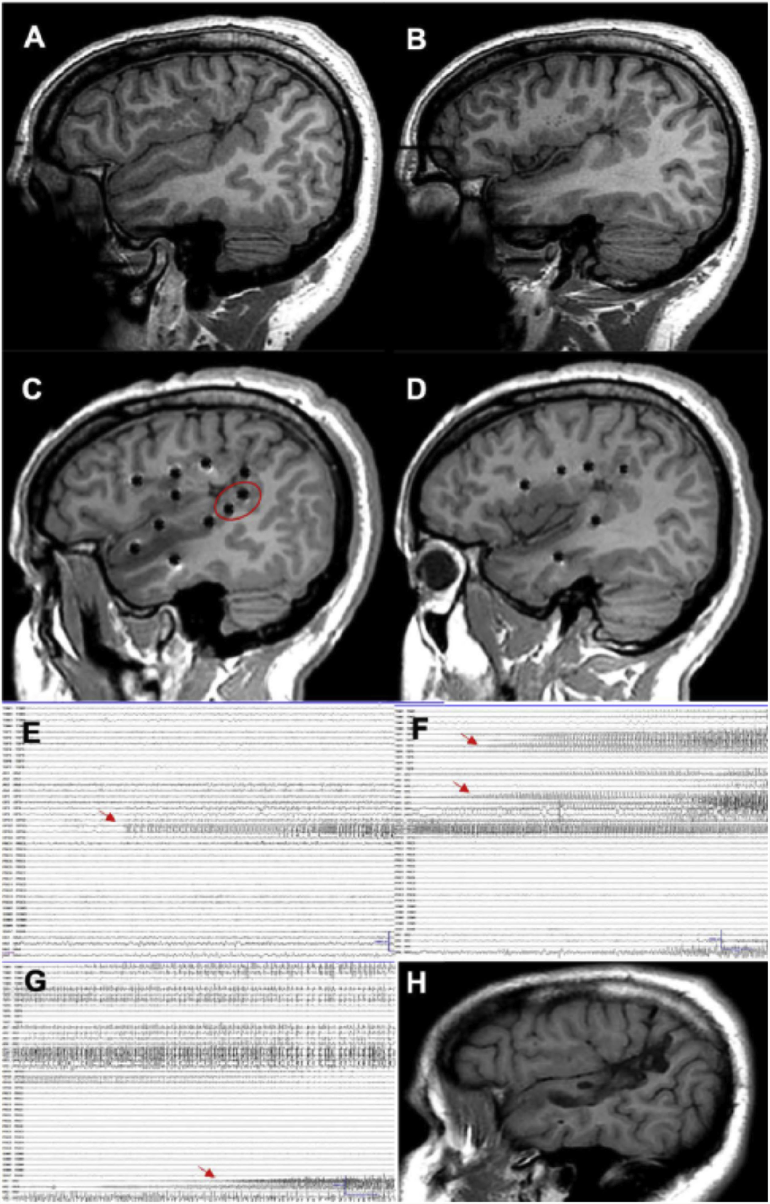 fig0020