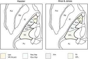Nomenclatures for the motor thalamus. The nomenclature of Hassler (left) and Hirai & Jones (right) are shown in an axial image of the thalamus. The authors use different names for the same nuclei in the same anatomical regions: Lpo and VA (dotted); Voa, Vop, VLa, and VLp (lines); Vim (grey); Vc and VPL (crosses). Gp: globus pallidus; IC: internal capsule; Lpo: lateropolaris; VA: ventral anterior (mc: pars magnocellularis; pc: pars parvocellularis); VC: ventro caudalis; Vim: ventralis intermedius; VLa: ventral lateral anterior; VLp: ventral lateral posterior; Voa: ventralis oralis anterior; Vop: ventralis oralis posterior; VPL: ventral posterior lateral; Pu: pulvinar; Put: putamen.