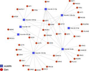 Interactions between miRNAs and their target genes (diagram generated with the miRNet online platform). A total of 36 target genes are shown for the 8 miRNAs in the context of glioma, grouped in nodes for each miRNA-gene interaction, with an affinity value of 8.31e–11. The regulation of the EGFR and CDK6 genes is particularly relevant. EGFR is regulated by at least 5 of the miRNAs described in this article (miR-21, miR-125, miR-137, miR-128, and let-7); this growth factor is generally overexpressed in GBM and is partially responsible for the increased cellular proliferation and evasion of apoptosis. The CDK6 gene is regulated by 4 miRNAs (miR-124, miR-137, miR-21, and let-7); it is also overexpressed in GBM, and is associated with increased tumour progression, migration, and invasiveness.