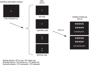 Example of one of the modalities of the Attention Network Test. RT: reaction time. Adapted from Vázquez-Marrufo et al.17