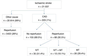 Flow diagram showing the patient selection process. CAD: cervical and cerebral artery dissection; IVT: intravenous thrombolysis; MT: mechanical thrombectomy.