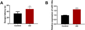The expression of miR-146a-5p and cognitive impairment were elevated in Aβ1–42-treated mice. (A) Estimation of escape latency in Morris water maze in the control and Aβ1–42-treated groups (n=5); (B) Relative expression of miR-146a-5p in the control and Aβ1–42-treated groups (n=5). Each bar represents mean±S.E.M. * P<0.01 and ***P<0.001 vs. the control group.