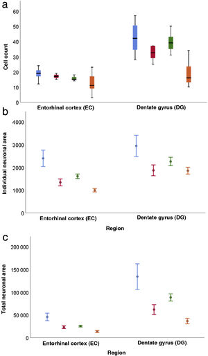 Cell count (a), individual neuronal area (b), and total neuronal area (c) distributed according to area, sex, and age (bars represent standard error).